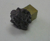 P1000269-1.jpg