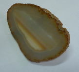 P1000267-1.jpg