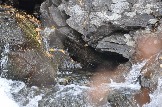 DSC_0590.JPG